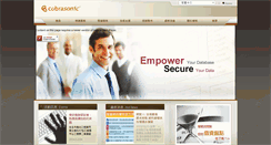 Desktop Screenshot of cobrasonic.com
