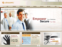 Tablet Screenshot of cobrasonic.com